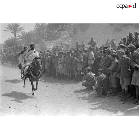 Des cavaliers libyens participent à une course de chevaux ou à une fantasia entre deux haies de spectateurs.