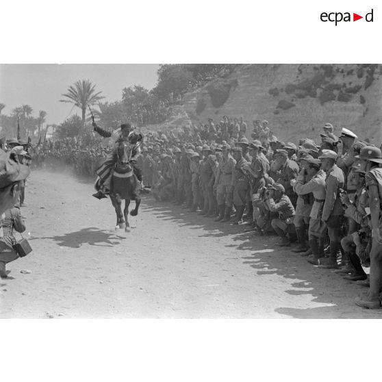 Des cavaliers libyens participent à une course de chevaux ou à une fantasia entre deux haies de spectateurs.