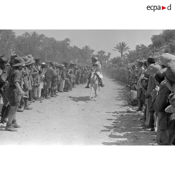 Des cavaliers libyens participent à une course de chevaux ou à une fantasia entre deux haies de spectateurs.