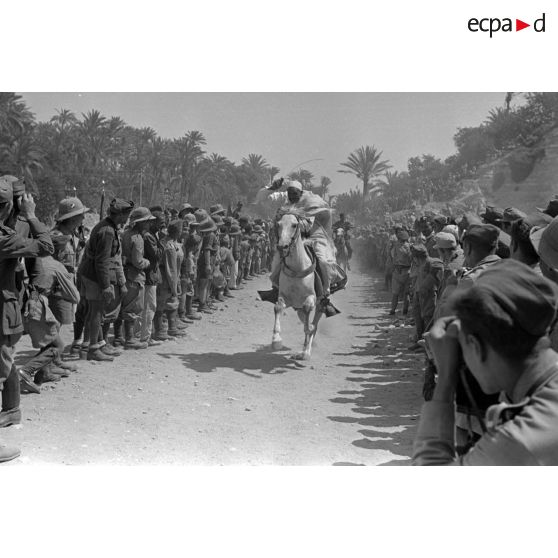 Des cavaliers libyens participent à une course de chevaux ou à une fantasia entre deux haies de spectateurs.