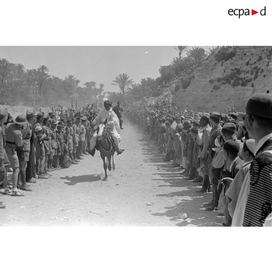 Des cavaliers libyens participent à une course de chevaux ou à une fantasia entre deux haies de spectateurs.