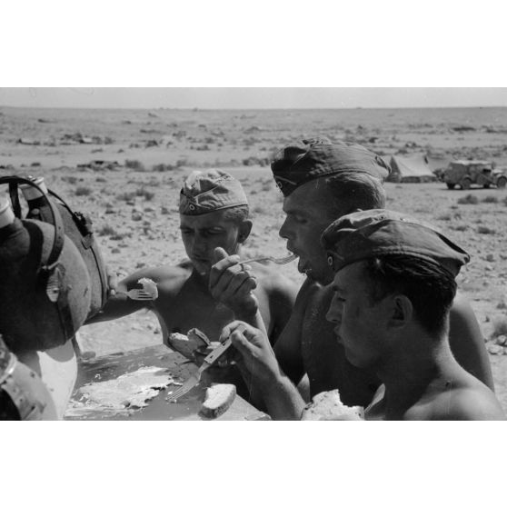 Un équipage de char mange des oeufs cuits à même le Panzer II.