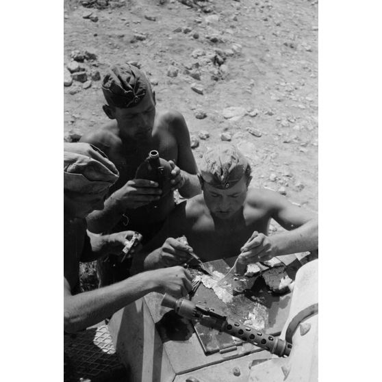 Un équipage de char mange des oeufs cuits à même le Panzer II.
