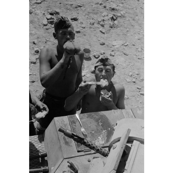 Un équipage de char mange des oeufs cuits à même le Panzer II.