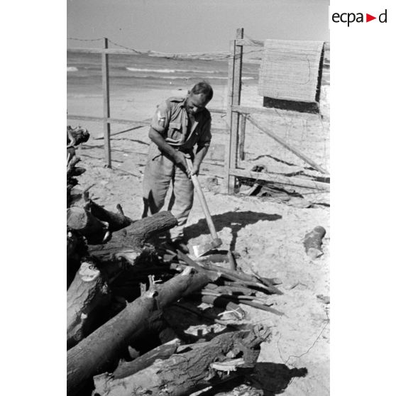 Un soldat britannique coupe du bois à la hache.