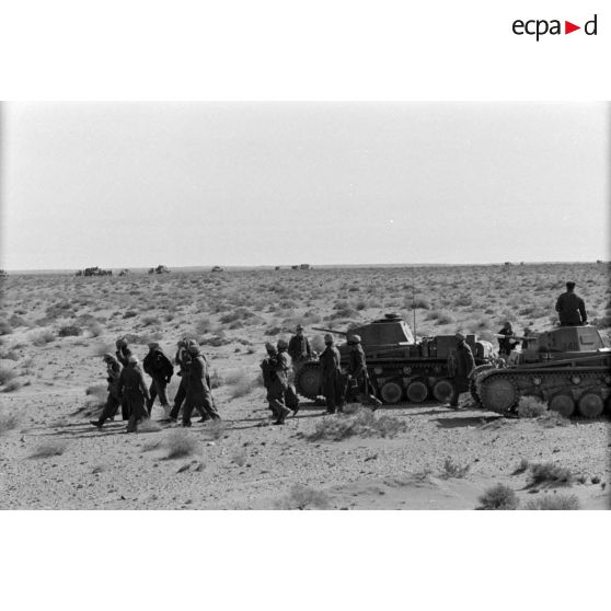 Des soldats britanniques d'une division indienne, prisonniers, dépassent deux Panzer II (Pz-II) du 3-Panzer.Regiment.8 (Pz.Rgt-8).