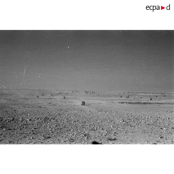 Des colonnes de véhicules allemands roulent dans le désert.