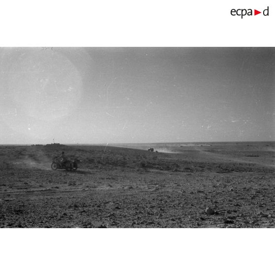 Des colonnes de véhicules allemands roulent dans le désert.