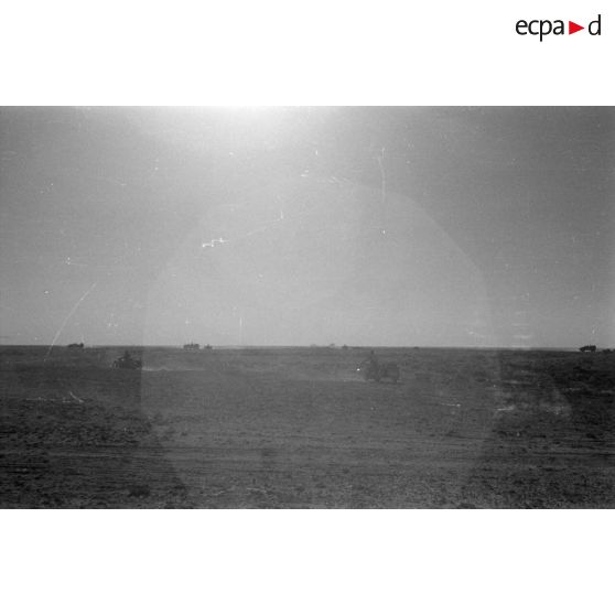 Des colonnes de véhicules allemands roulent dans le désert.