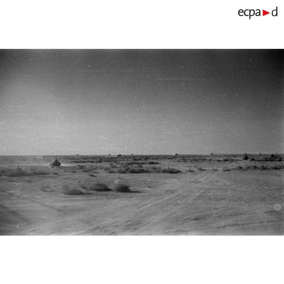 Des véhicules allemands roulent dans le désert en provoquant des nuages de poussière.