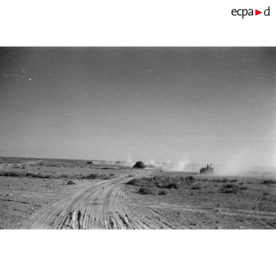 Des véhicules allemands roulent dans le désert en provoquant des nuages de poussière.