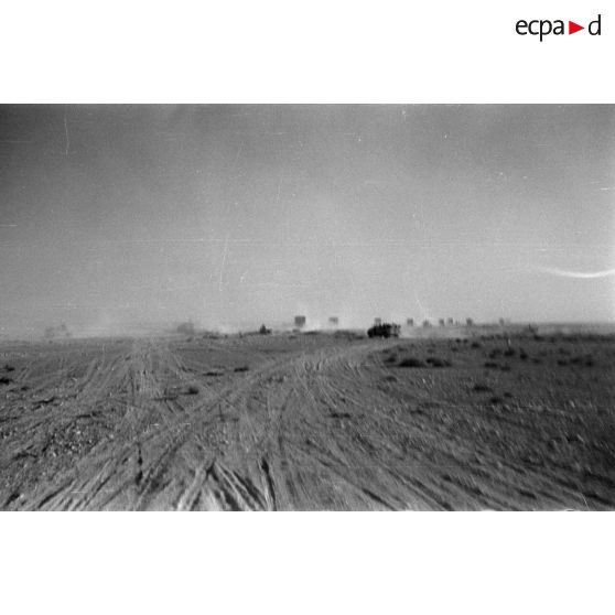 Des véhicules allemands roulent dans le désert en provoquant des nuages de poussière.