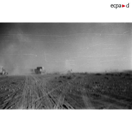 Des véhicules allemands roulent dans le désert en provoquant des nuages de poussière.