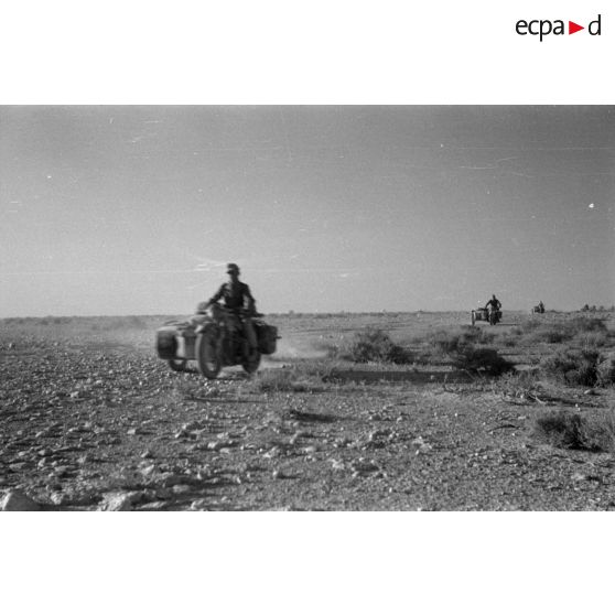 Un groupe de motocyclistes montés sur des side-cars roulent sur une piste.