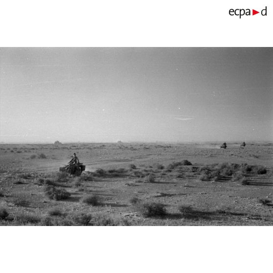 Un groupe de motocyclistes montés sur des side-cars roulent sur une piste.
