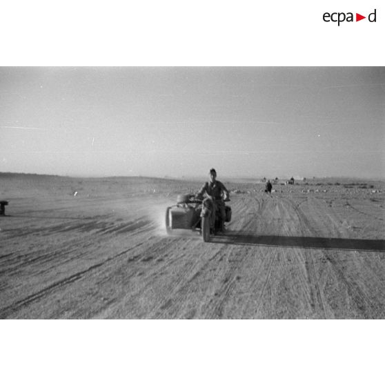 Un groupe de motocyclistes montés sur des side-cars roulent sur une piste.