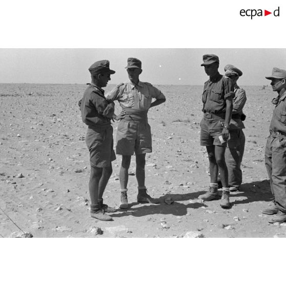Le colonel (Oberstleutnant) Karl Ens discute avec des officiers de l'Infanterie-Regiment 433, ils sont accompagné d'un officier de la Luftwaffe.