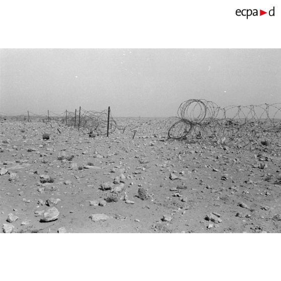 Les officiers de l'Infanterie-Regiment 433 passent un réseau de fils barbelés.