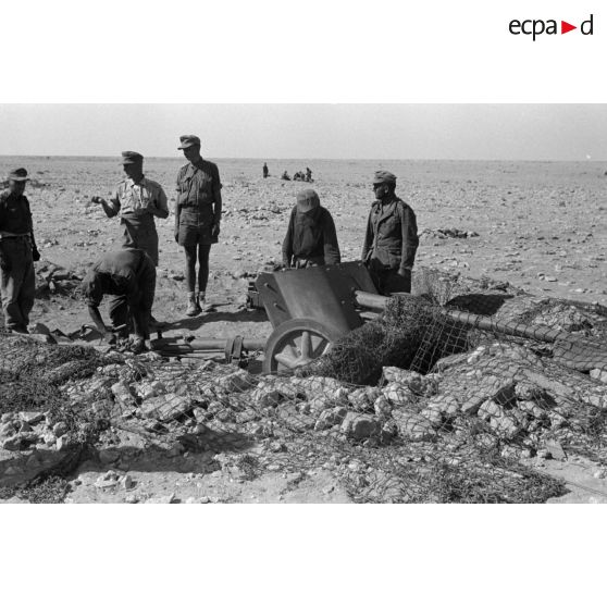Les servants d'un canon de 5 cm PaK-38 camouflé.