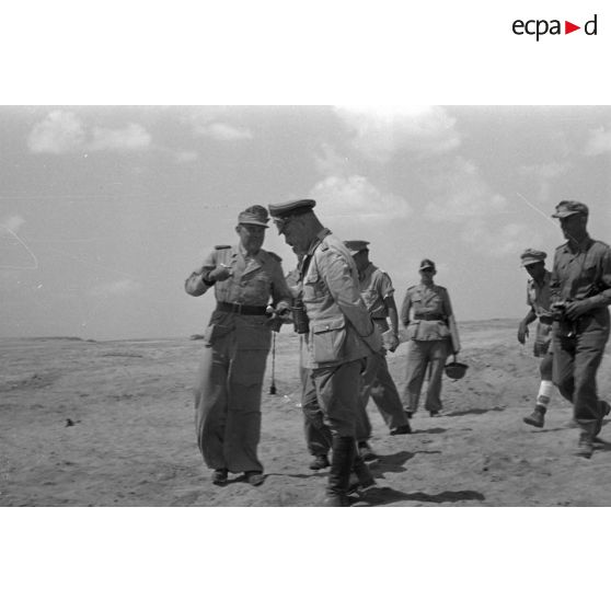 Les maréchaux Kesselring et Rommel marchent en parlant, suivis d'officiers de la Luftwaffe.