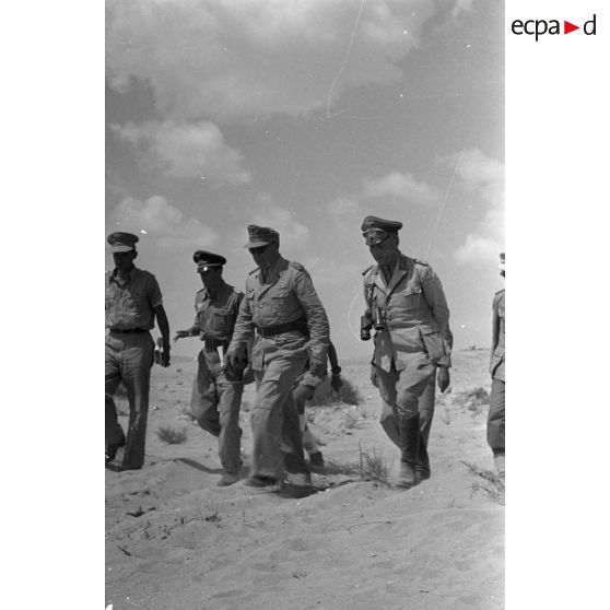 Les maréchaux Kesselring et Rommel marchent en parlant, suivis d'officiers de la Luftwaffe.