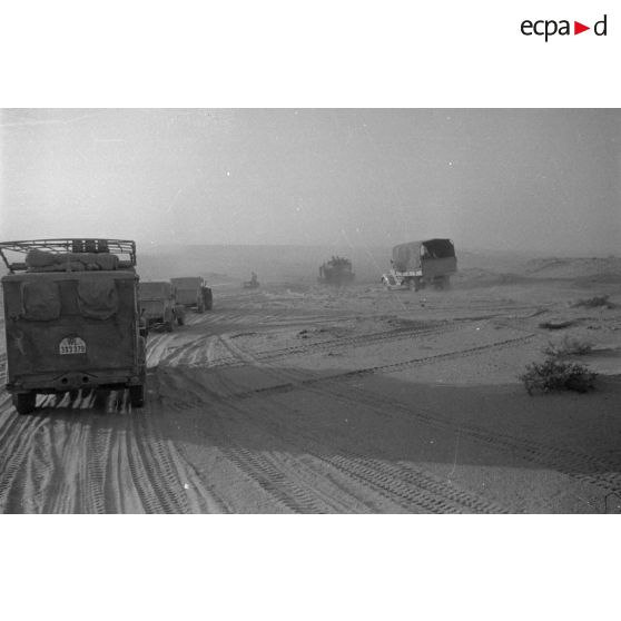 Des véhicules allemands roulent dans le désert, camions divers dont certains d'origine britannique, voitures légères.
