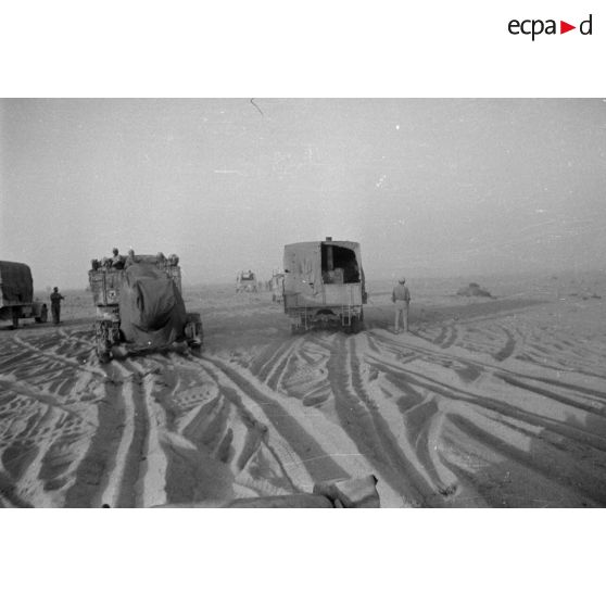 Des véhicules allemands roulent dans le désert, camions divers dont certains d'origine britannique, voitures légères.