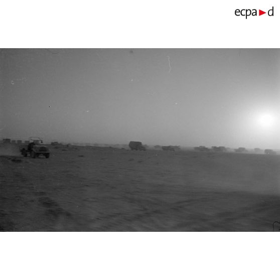 Des véhicules allemands roulent dans le désert, camions divers dont certains d'origine britannique, voitures légères.