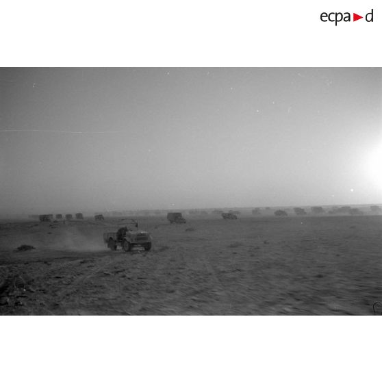 Des véhicules allemands roulent dans le désert, camions divers dont certains d'origine britannique, voitures légères.