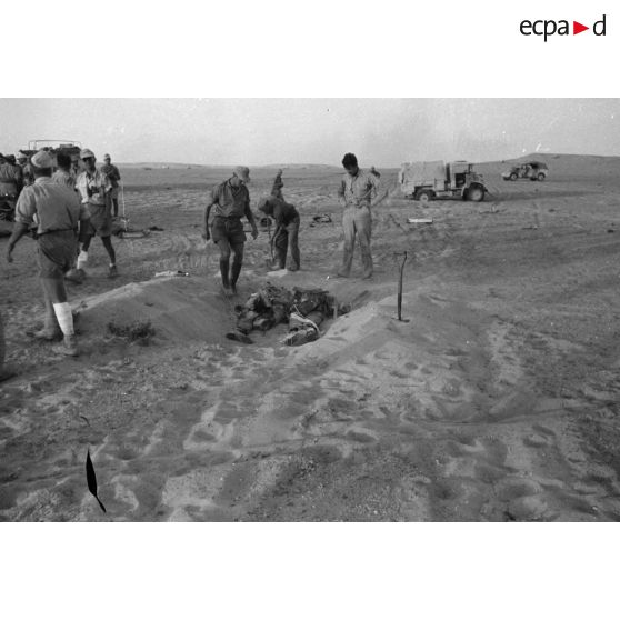 Un avion Douglas Boston ou A-20 Havoc a été abattu, il s'est écrasé non loin de la colonne allemande.