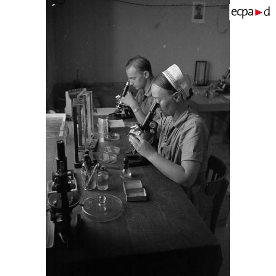 Travail en laboratoire dans un hôpital militaire allemand.