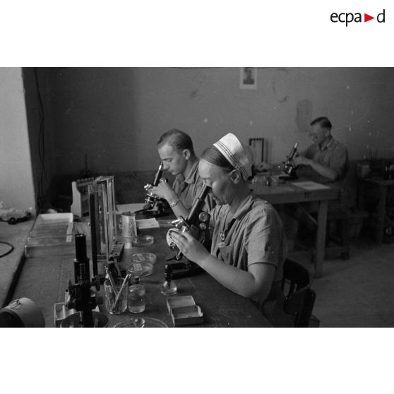 Travail en laboratoire dans un hôpital militaire allemand.