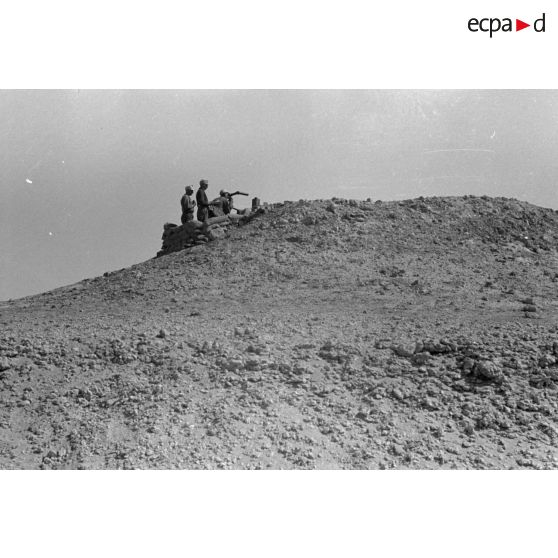 Des observateurs munis de binoculaires surveillent la vallée.