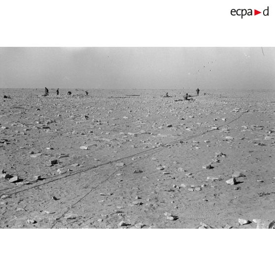 La position allemande, composée de trous de tirailleurs, est traversée de fils peut-être téléphoniques.