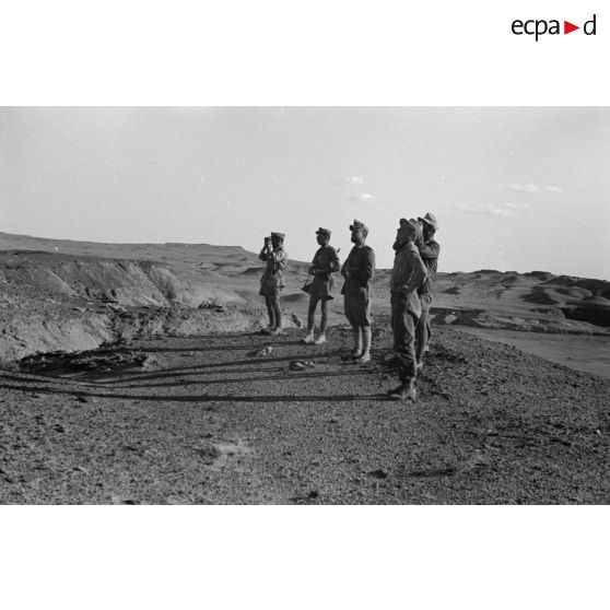 Un groupe de soldats allemands et italiens parcourt les sommets dans le secteur d'El Alamein.
