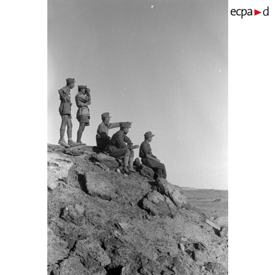 Un groupe de soldats allemands et italiens parcourt les sommets dans le secteur d'El Alamein.