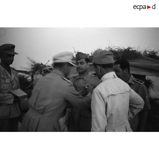 Un commandant allemand (Major) remet une décoration (la croix de fer de première classe) à un commandant italien.