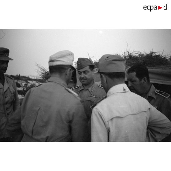 Un commandant allemand (Major) remet une décoration (la croix de fer de première classe) à un commandant italien.