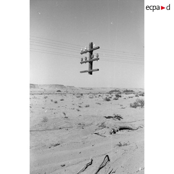 Un poteau télégraphique, dont la partie basse a été arrachée, reste accroché en l'air par ses fils.