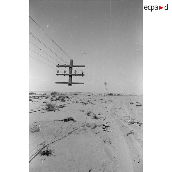 Un poteau télégraphique, dont la partie basse a été arrachée, reste accroché en l'air par ses fils.