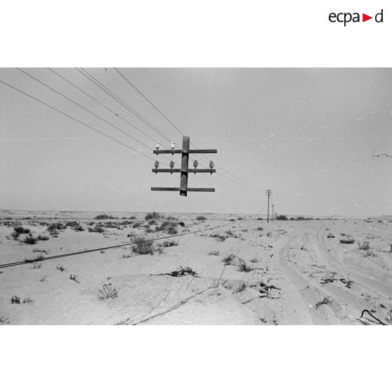 Un poteau télégraphique, dont la partie basse a été arrachée, reste accroché en l'air par ses fils.