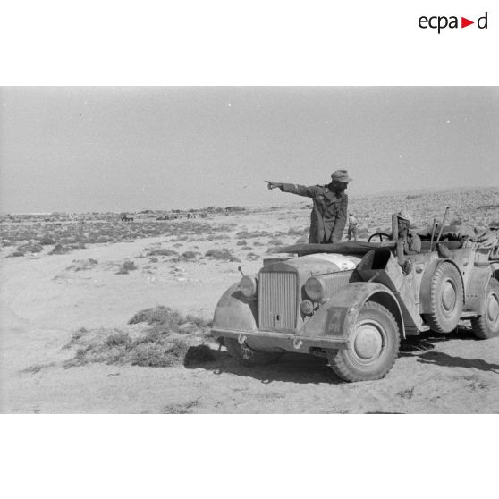 Un Leutnant appartenant à la Pk.Afrika désigne un point debout dans une voiture Kfz-15.