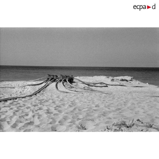 Tuyaux utilisés pour l'adoucissement de l'eau de mer.