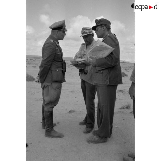 Le maréchal (Generalfeldmarschall) Erwin Rommel remet au colonel (Oberst) Bayerlein la croix allemande en or.