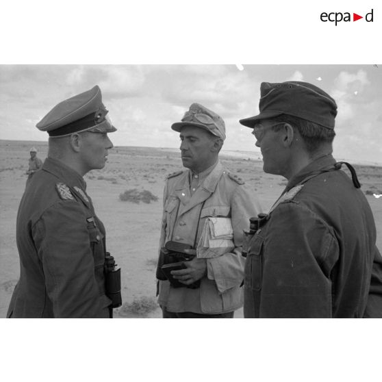 Le maréchal (Generalfeldmarschall) Erwin Rommel remet au colonel (Oberst) Bayerlein la croix allemande en or.