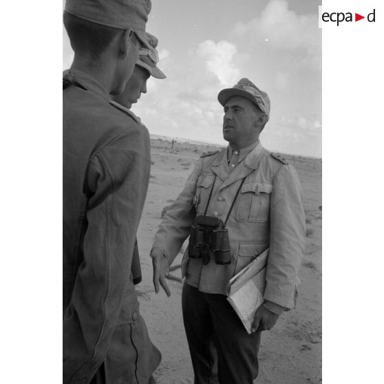 Le maréchal (Generalfeldmarschall) Erwin Rommel remet au colonel (Oberst) Bayerlein la croix allemande en or.