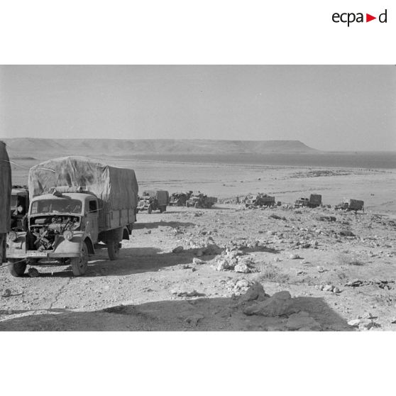 Une colonne de véhicules qui progresse vers la passe d'Halfaya.