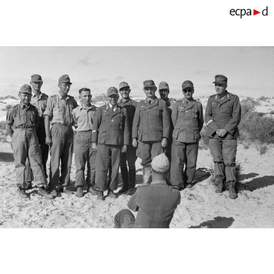 Des officiers détat-major allemand du Panzerarmee Afrika.
