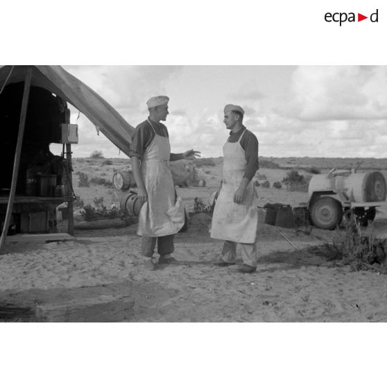 Portraits de membres de la Panzerarmee Afrika.