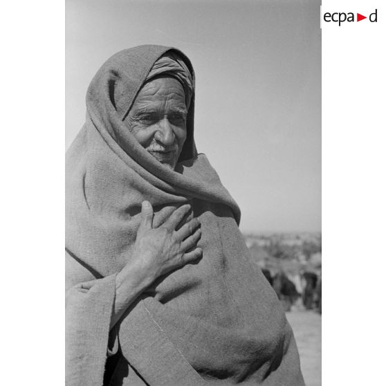 Portrait d'un vieil homme.